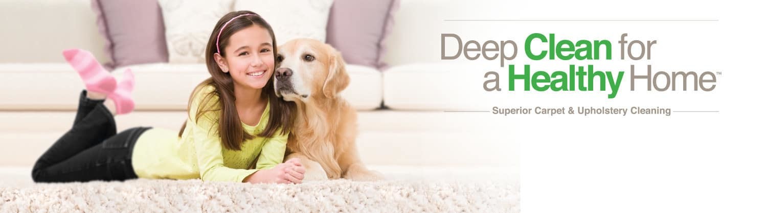 carpet cleaning tampa